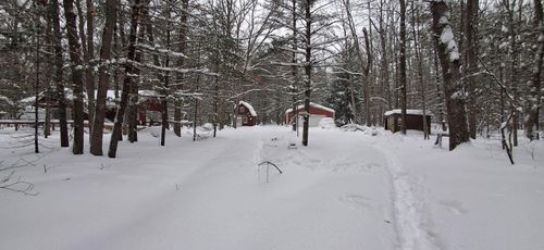 151 Skocelas Road N, Manistee, MI, 49660 | Card Image