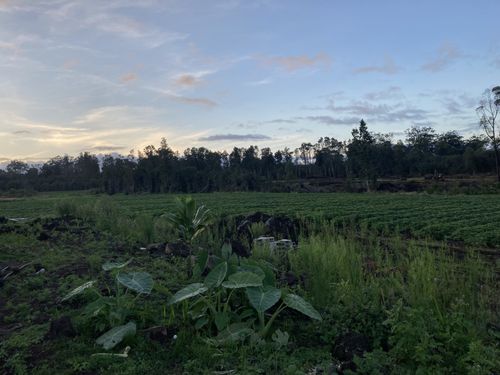 18-3931 Kalaninauli Rd, VOLCANO, HI, 96785 | Card Image