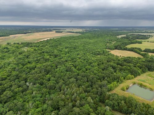 Tract 9 County Road 2158, Cooper, TX, 75432 | Card Image