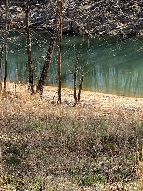 0 Wagon Ln, Speedwell, TN, 37870 | Card Image