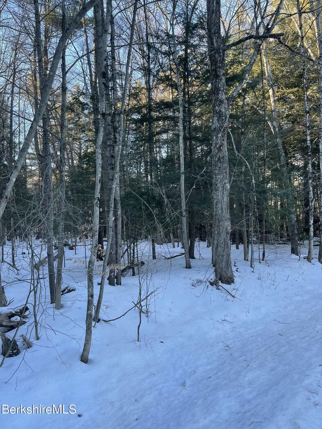 14 Partridge Rd, Home with 0 bedrooms, 0 bathrooms and null parking in Lanesborough MA | Image 7