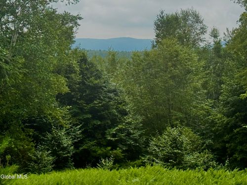 21 Black River Rd, Stephentown, NY, 12169-2000 | Card Image