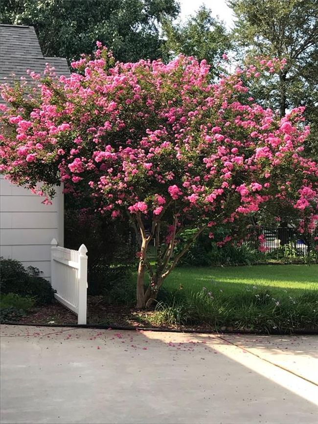 32802 Crestlake Blvd, House other with 4 bedrooms, 4 bathrooms and 3 parking in Magnolia TX | Image 48