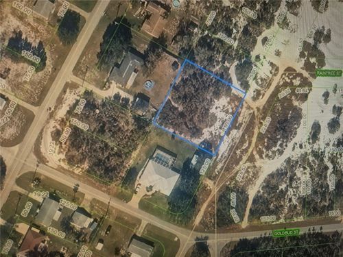 308 Bottlebrush Ave, LAKE PLACID, FL, 33852-8600 | Card Image