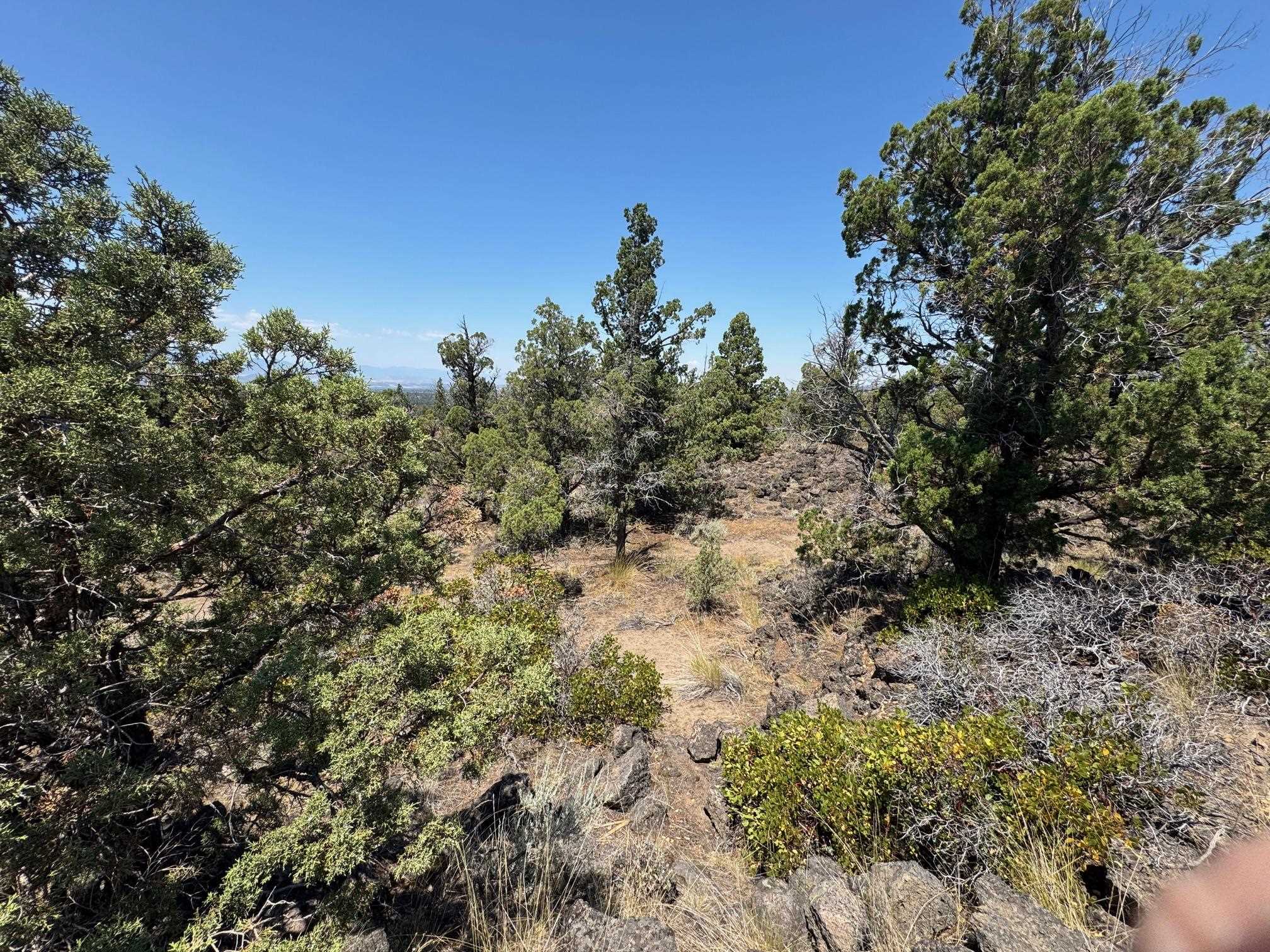Land in Montague
