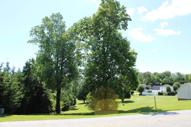000 Thompson Rd, Home with 0 bedrooms, 0 bathrooms and null parking in Rutherfordton NC | Image 6