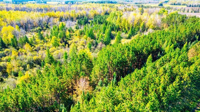 DJI_0341_hdr.jpg | Image 74