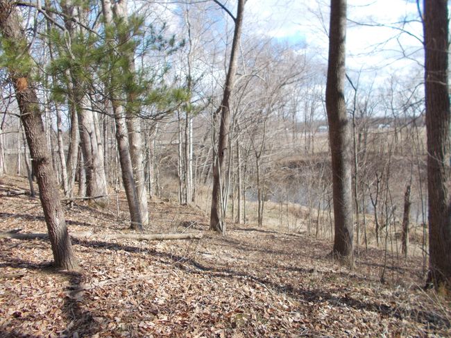 0 N State Highway 7, Home with 0 bedrooms, 0 bathrooms and null parking in Scipio IN | Image 20