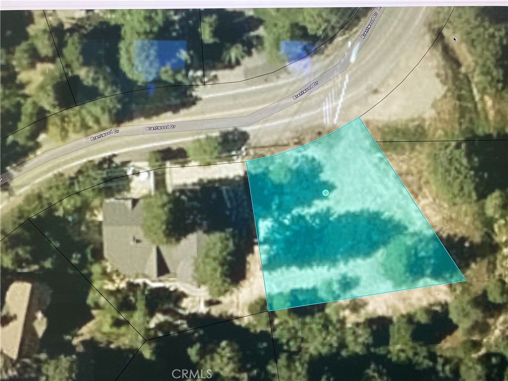 Land in Lake Arrowhead 5