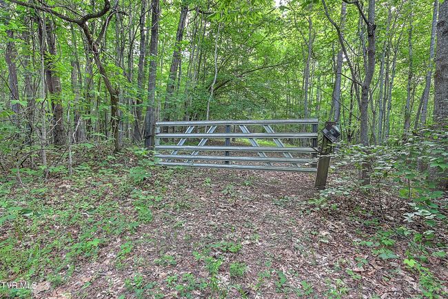 000 Goode Hollow Rd, Home with 0 bedrooms, 0 bathrooms and null parking in Duffield VA | Image 18