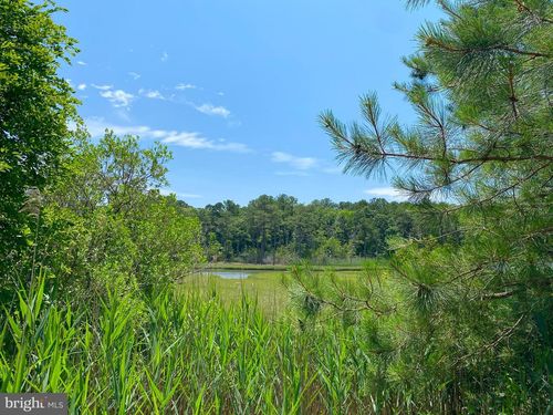6 Pine Cone Way, BERLIN, MD, 21811-1698 | Card Image