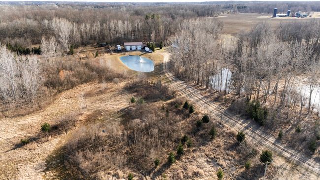 Overhead of the Pond | Image 34