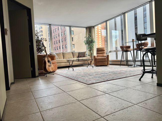 UNIT-6B - 1300 N Astor St, Condo with 1 bedrooms, 1 bathrooms and null parking in CHICAGO IL | Image 4