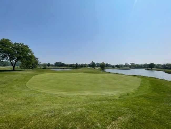 View of the Golf Course | Image 28