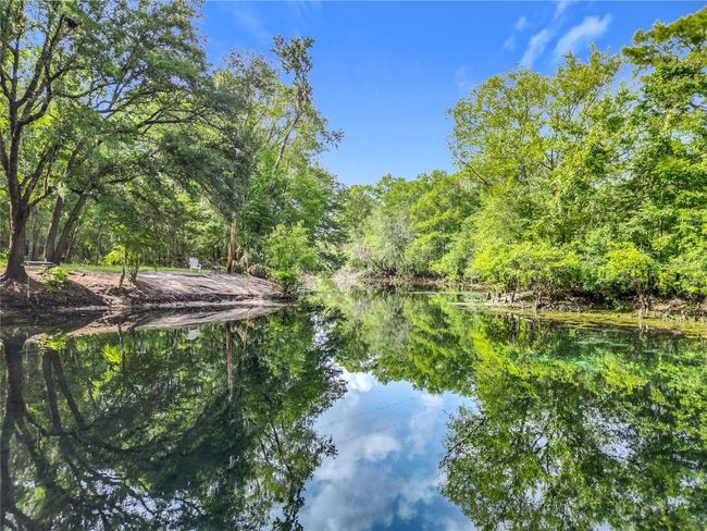 Imagine being able to visit this serene and stunning wildlife area every day! Just minutes from your home! | Image 60