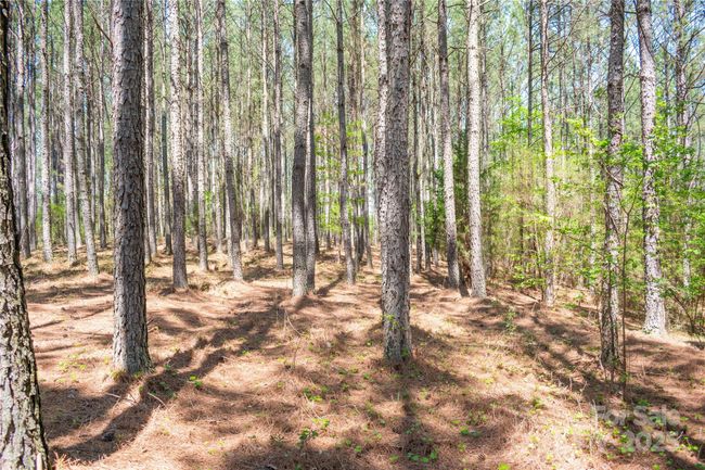 69 - 144 Whispering Pines Ln, Home with 0 bedrooms, 0 bathrooms and null parking in Mooresboro NC | Image 7