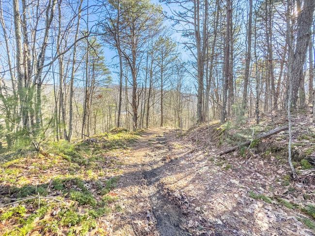 92 Acres Laurel Fork Rd, Home with 0 bedrooms, 0 bathrooms and null parking in Rocky Gap VA | Image 19