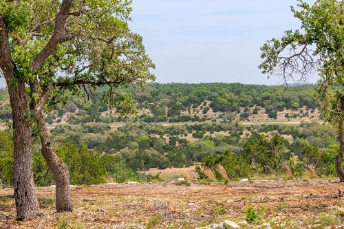 196-Lot 196 N Flat Rock Way, Johnson City, TX, 78636 | Card Image