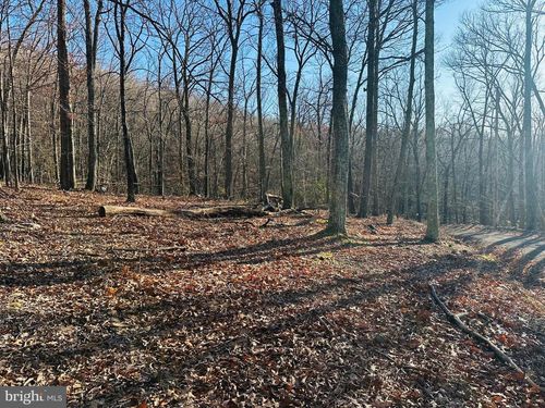 LOT 18 SEC 8 Butterfly Lane, SLANESVILLE, WV, 25444 | Card Image