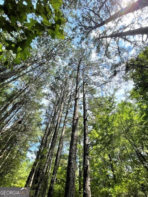 0 Hixon Porter Rd, Rayle, GA, 30660 | Card Image