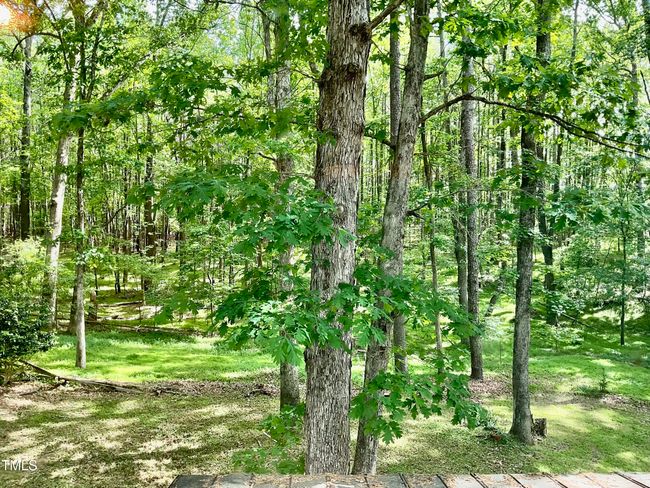 Backyard view | Image 16