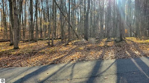 9815 Lost Canyon Dr, Stanwood, MI, 49346-9780 | Card Image