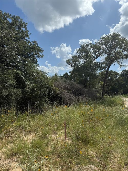 1163 Sugar Hl, Caldwell, TX, 77836 | Card Image