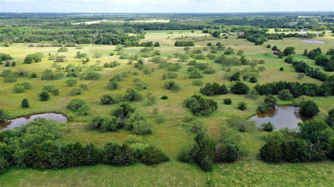 1563 Fm 667, Home with 0 bedrooms, 0 bathrooms and null parking in Purdon TX | Image 13