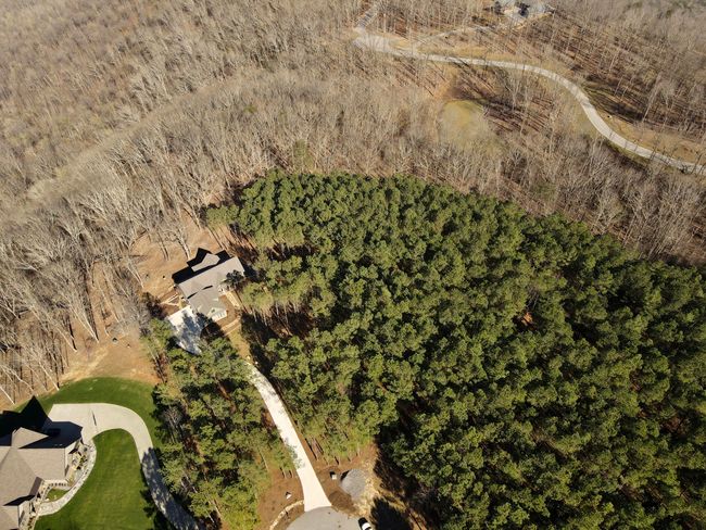 80 High Point Ln, Home with 0 bedrooms, 0 bathrooms and null parking in Jasper TN | Image 66