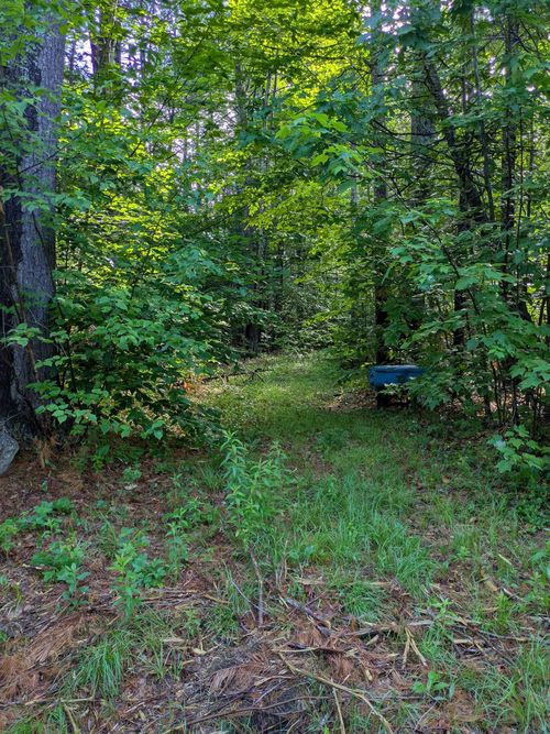 128 Brock Hill Rd, Grafton, NH, 03240-3902 | Card Image