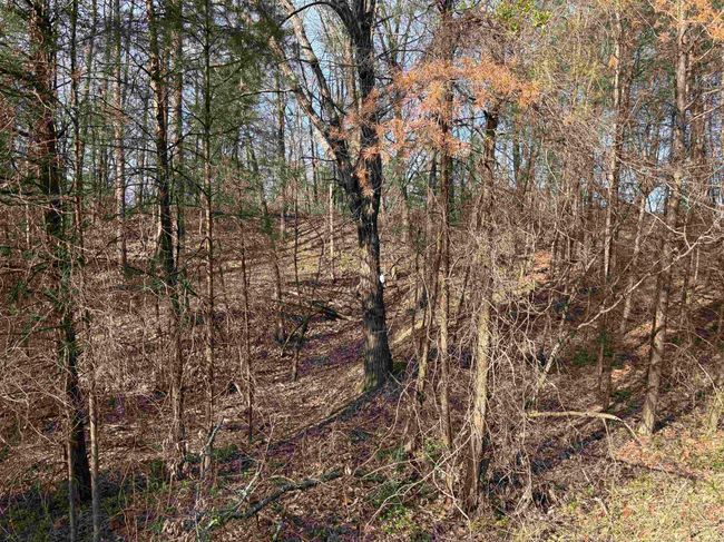 10321 W 750 N, Home with 0 bedrooms, 0 bathrooms and null parking in Jasonville IN | Image 23