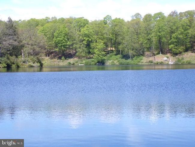 132 Beechnut Ln, House other with 3 bedrooms, 2 bathrooms and null parking in Canadensis PA | Image 40