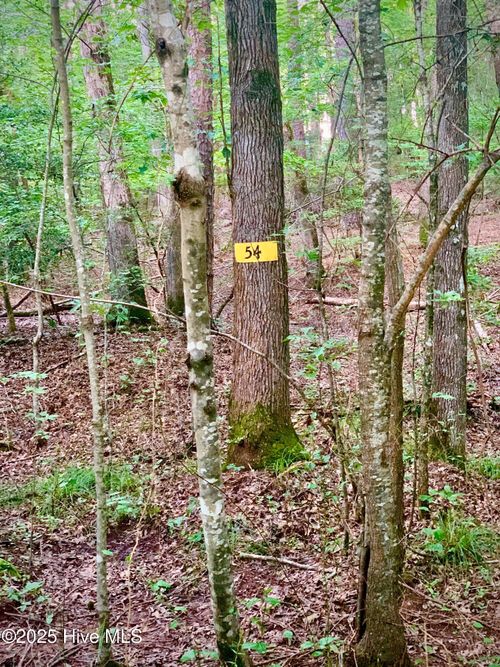 54 Palomino Rd, Carthage, NC, 28327 | Card Image