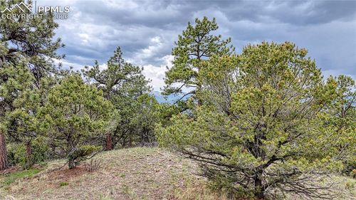 44 Honeysuckle Ter, Westcliffe, CO, 81252 | Card Image