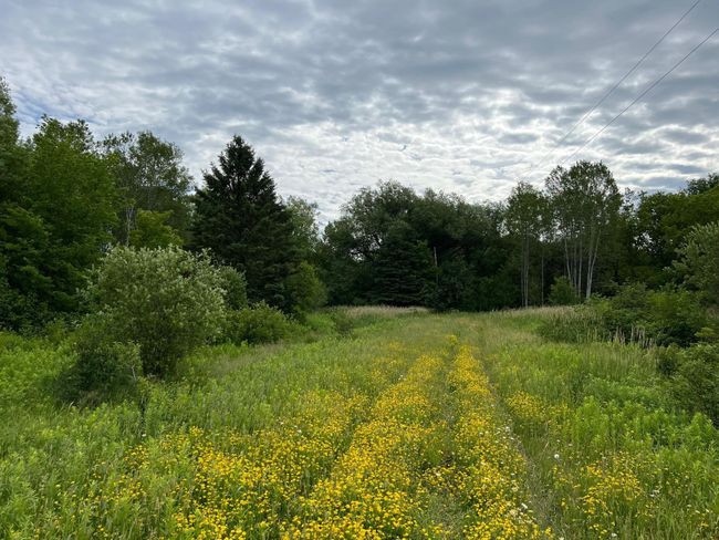 Driveway on south side of land | Image 11