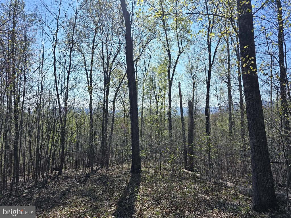 Land in MADISON 3