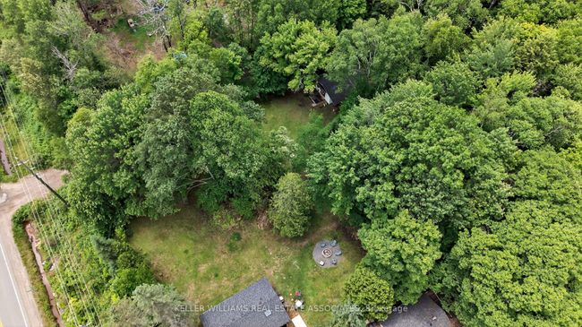 17377 35 Highway, House other with 3 bedrooms, 1 bathrooms and 8 parking in Algonquin Highlands ON | Image 45