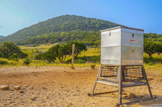 1401 Cedar Mesa Rd, Home with 3 bedrooms, 2 bathrooms and null parking in Tarpley TX | Image 72