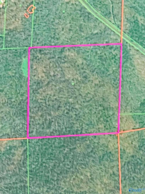 40 Acres Cherry Tree Rd, Gurley, AL, 35748 | Card Image