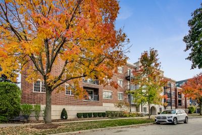 210 - 111 N Larch Street, Condo with 1 bedrooms, 1 bathrooms and 2 parking in Elmhurst IL | Image 2