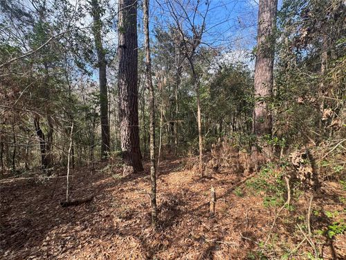 Lot 219 Mallard Drive, Coldspring, TX, 77331 | Card Image