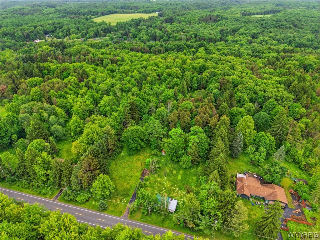 Land in Colden 4