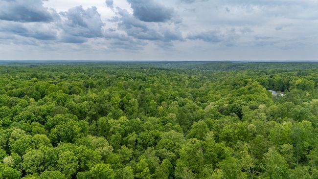 217 Rockhouse Rd, House other with 4 bedrooms, 5 bathrooms and 6 parking in Hohenwald TN | Image 54