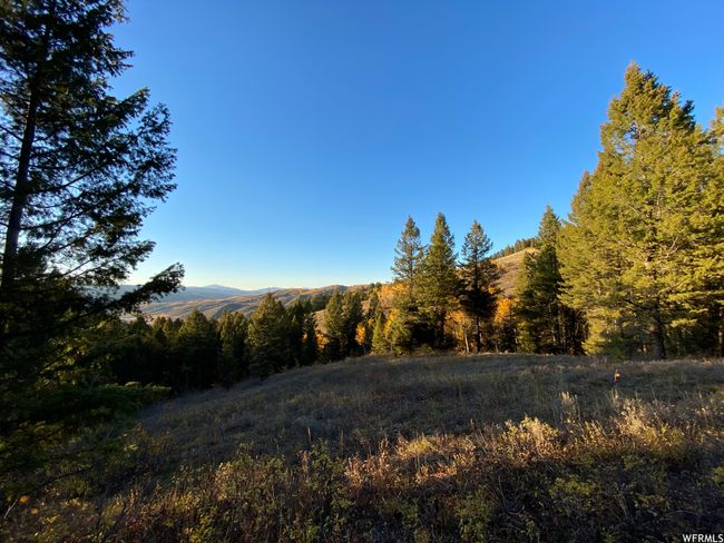 View of yard featuring a mountain view | Image 60