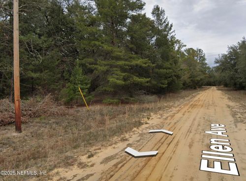 00 Ellen Way, Interlachen, FL, 32148 | Card Image