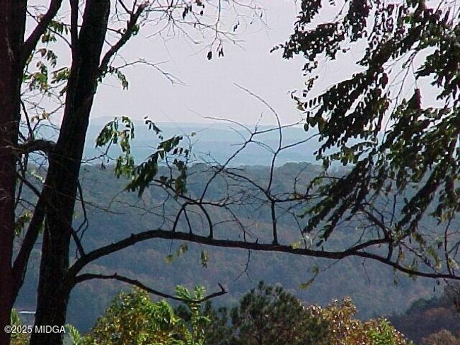 7 | Image 7