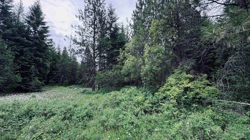 58 Bugling Elk Ln, Weippe, ID, 83553 | Card Image