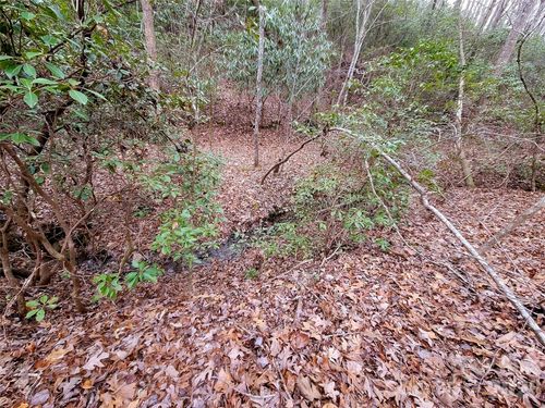 328-0 Birddog Blvd, Lake Lure, NC, 28746 | Card Image