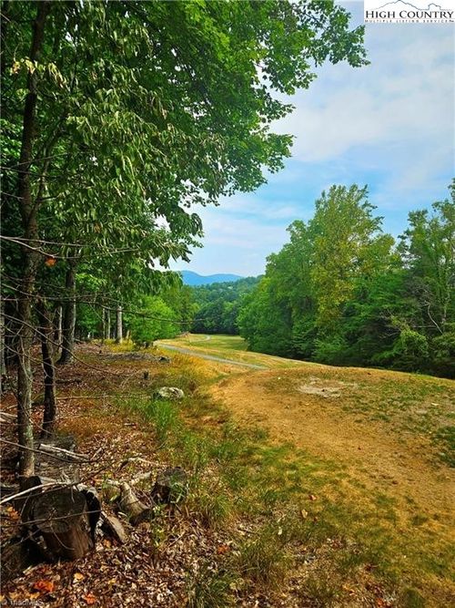 42 Greenstreet Dr, Traphill, NC, 28685 | Card Image