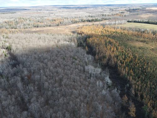 TBD W Cemetery Rd, RADISSON, WI, 54867 | Card Image